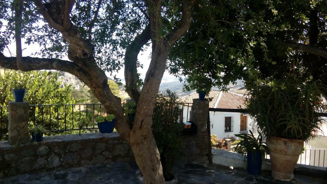 Don Claudio ξενώνας Grazalema Εξωτερικό φωτογραφία